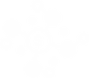 Multi-Network Payments